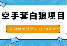 【罗浩资源库】2020最新空手套白狼项目,全网批量截流技术,一个月实战成功赚20多W+-爱学网